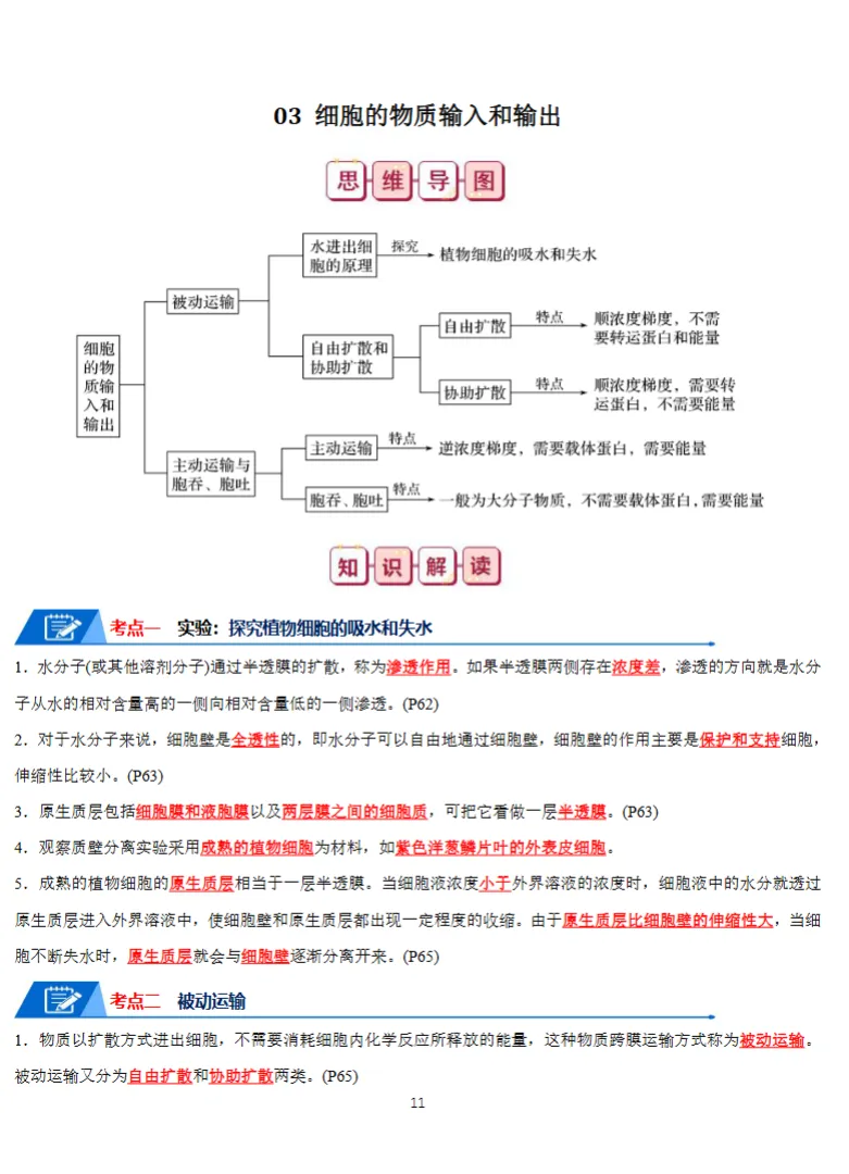 高考生物知识点总结,思维导图+知识解读,全面详细!(通用版)-第12张图片-四季读书网