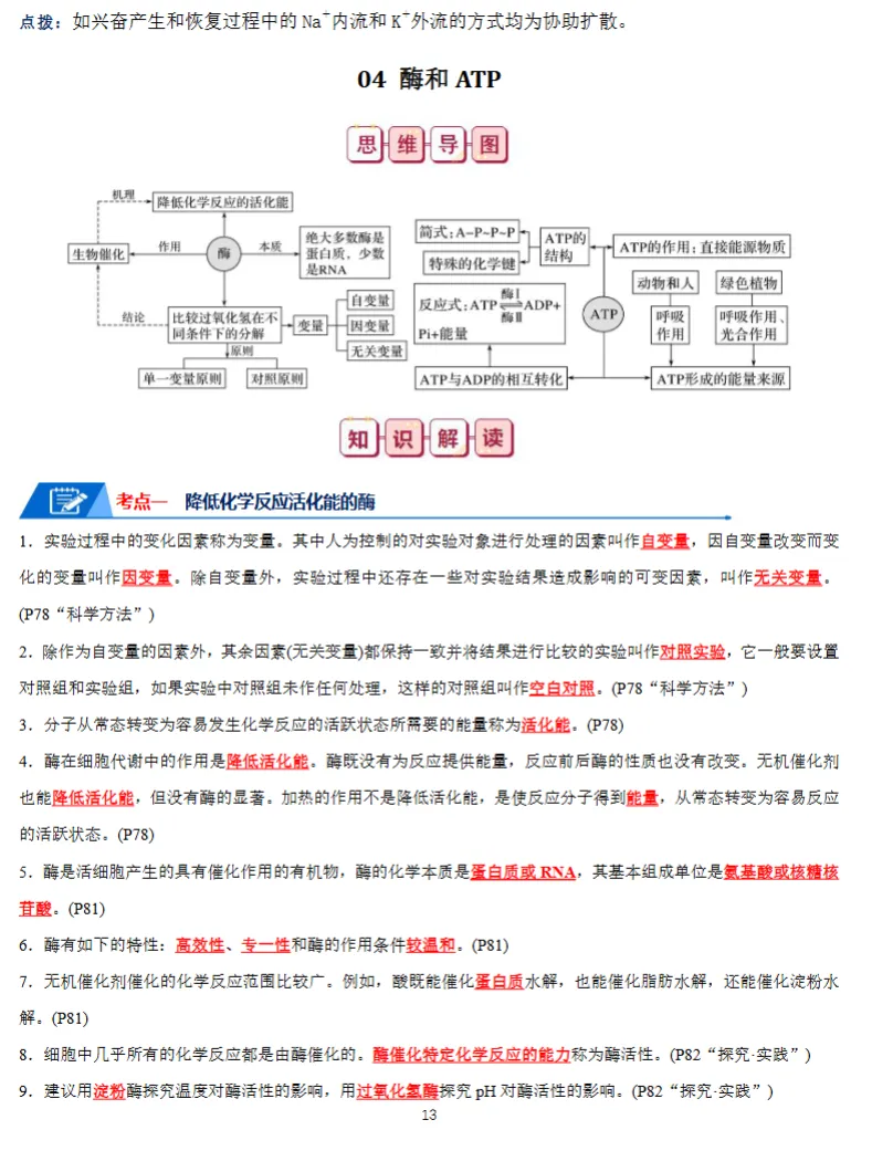 高考生物知识点总结,思维导图+知识解读,全面详细!(通用版)-第14张图片-四季读书网