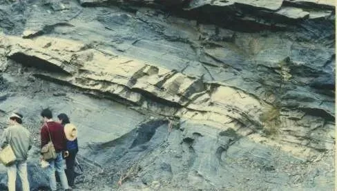 高考地理之如何看懂地质图-第3张图片-四季读书网 高考地理之如何看懂地质图-第3张图片-四季读书网
