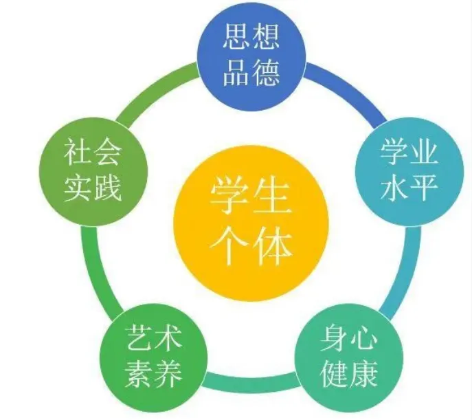 山东新高考的“隐形加分项”,综合素质档案怎么填才有用-第2张图片-四季读书网