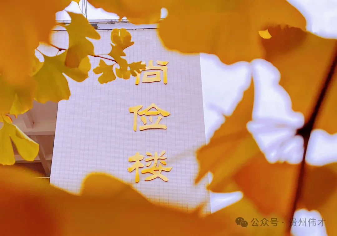 高考报名倒计时!伟才为您报考助攻,考生必藏!-第8张图片-四季读书网