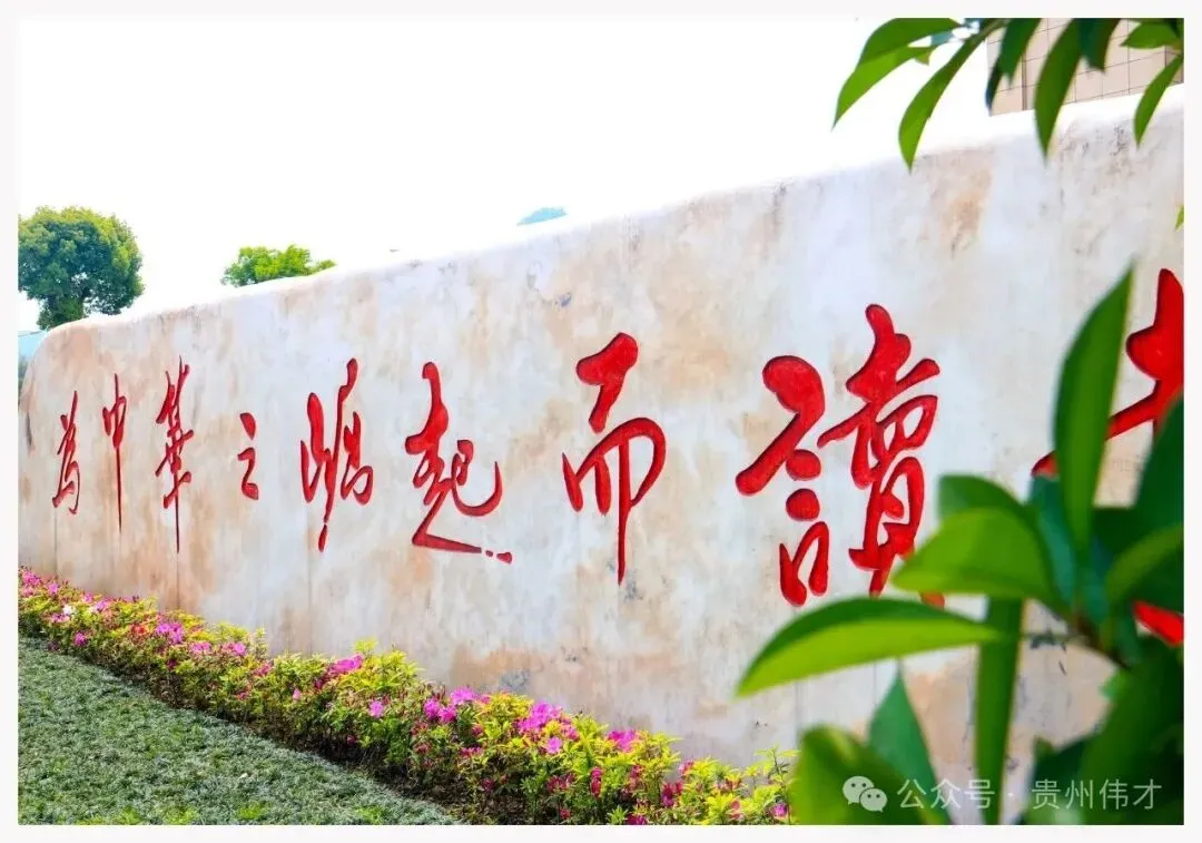 高考报名倒计时!伟才为您报考助攻,考生必藏!-第11张图片-四季读书网