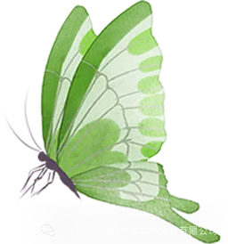 A4纽扣袋 卡通元素 童趣 校园 试卷收纳 防水柔韧 经久耐用-第32张图片-四季读书网