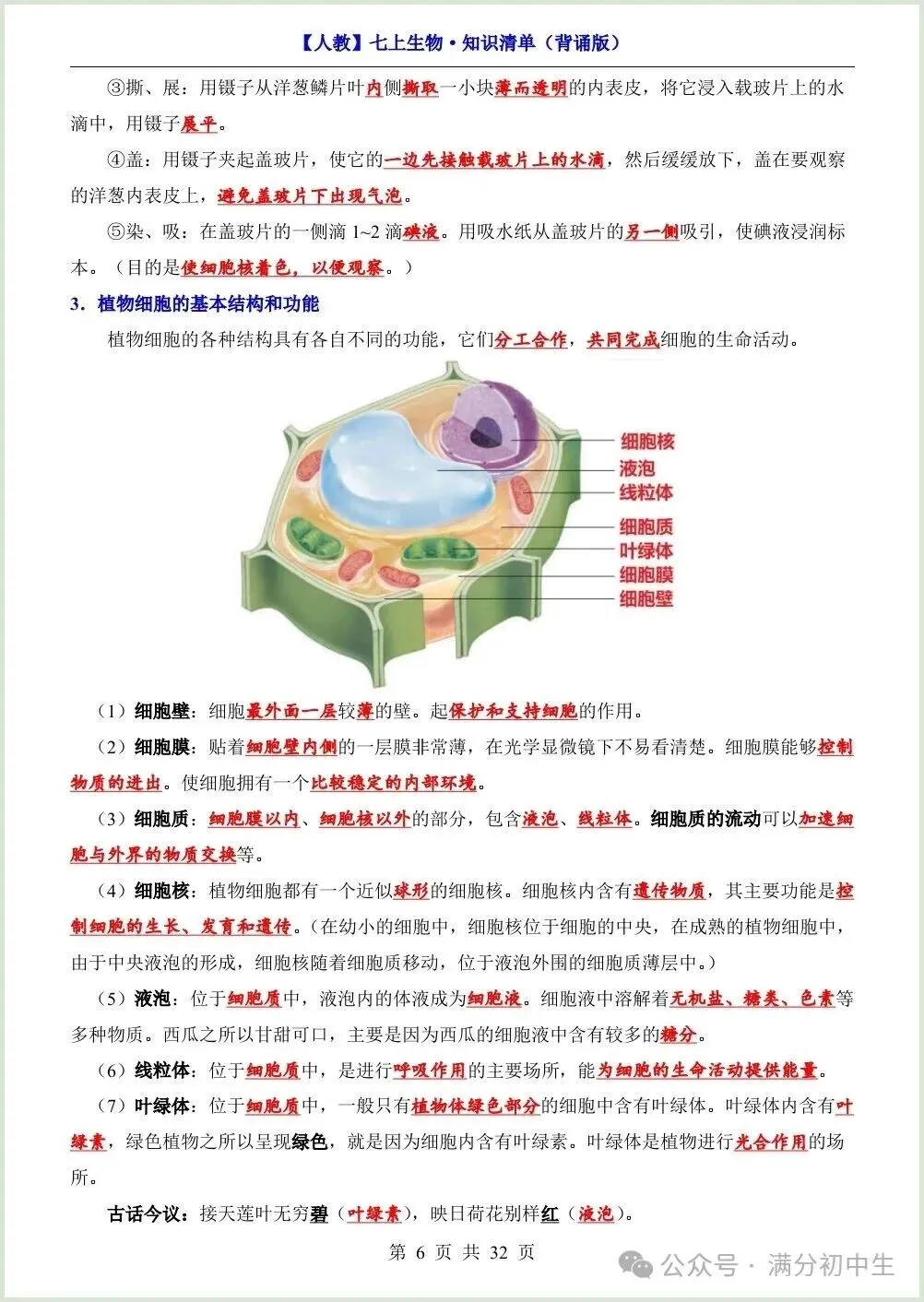 初一新教材七上生物期中必背知识考点梳理复习总结电子打印版!(2026 新)-第6张图片-四季读书网 初一新教材七上生物期中必背知识考点梳理复习总结电子打印版!(2026 新)-第6张图片-四季读书网