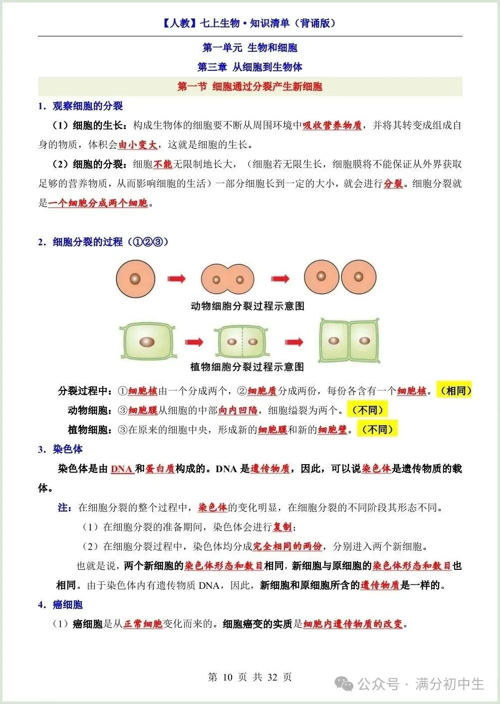 初一新教材七上生物期中必背知识考点梳理复习总结电子打印版!(2026 新)-第9张图片-四季读书网 初一新教材七上生物期中必背知识考点梳理复习总结电子打印版!(2026 新)-第9张图片-四季读书网