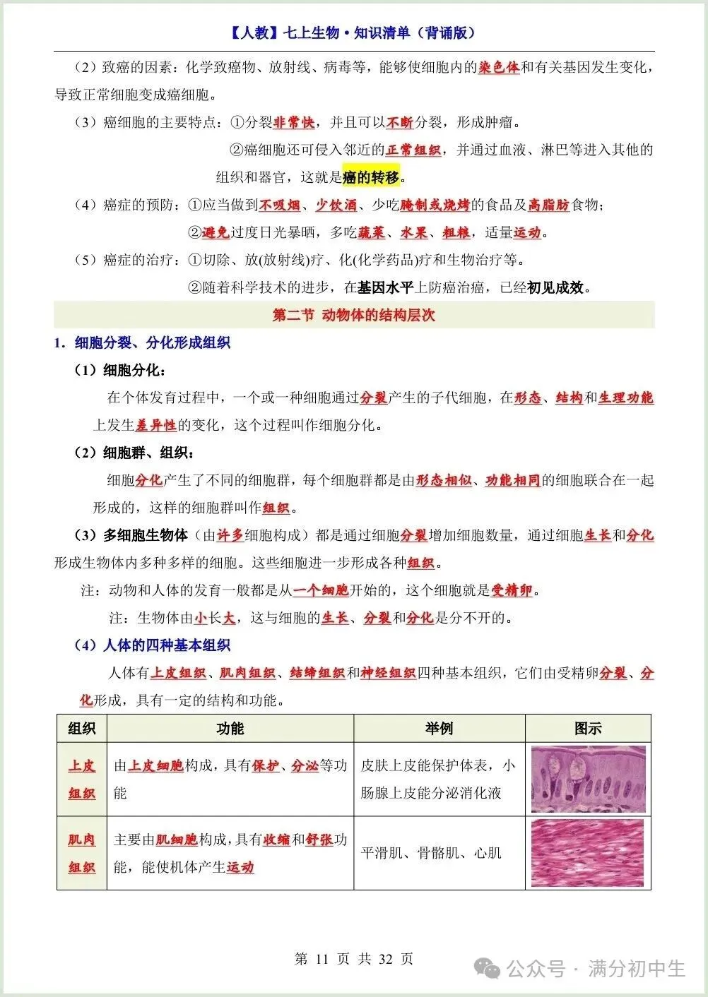 初一新教材七上生物期中必背知识考点梳理复习总结电子打印版!(2026 新)-第10张图片-四季读书网 初一新教材七上生物期中必背知识考点梳理复习总结电子打印版!(2026 新)-第10张图片-四季读书网