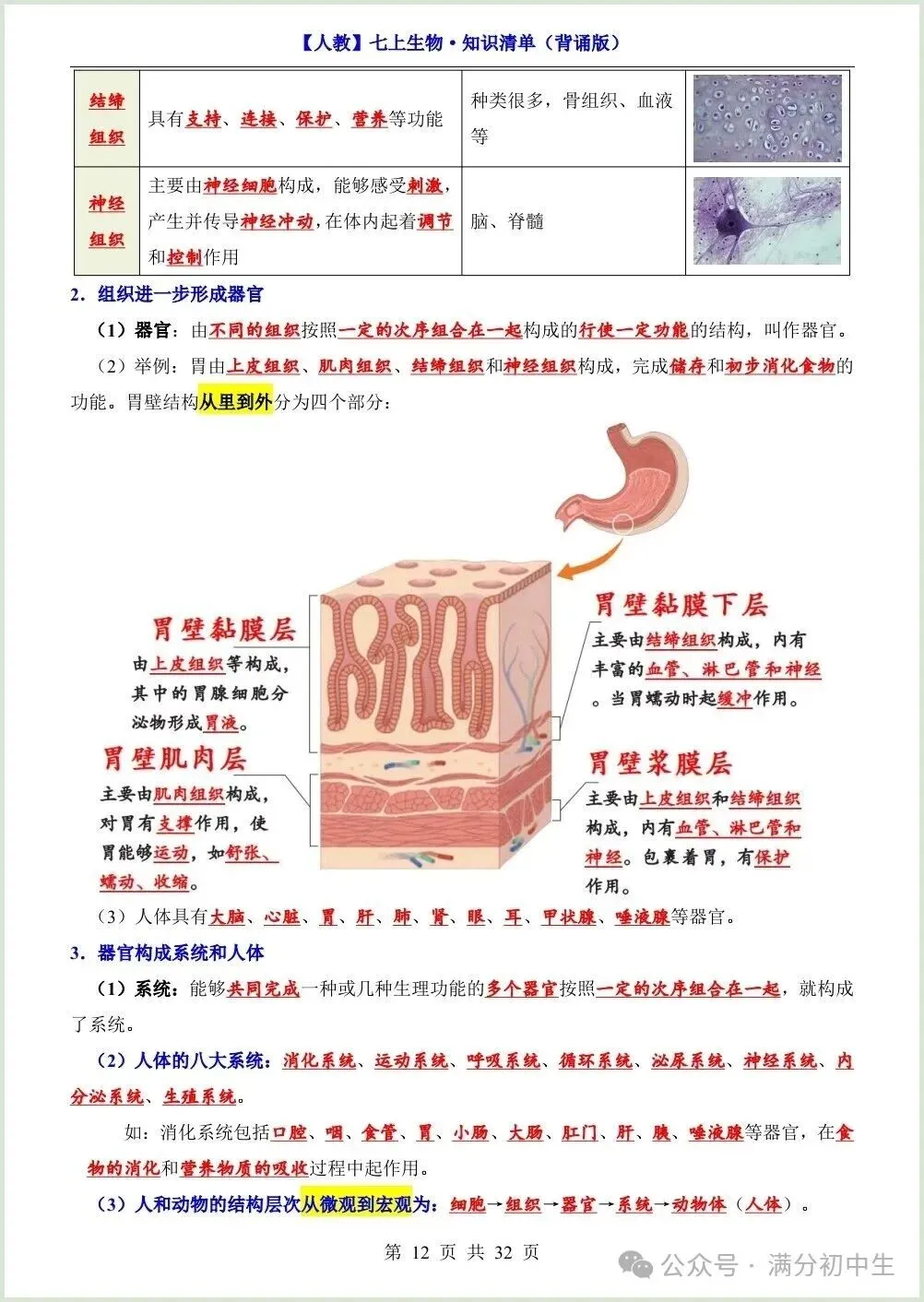 初一新教材七上生物期中必背知识考点梳理复习总结电子打印版!(2026 新)-第11张图片-四季读书网 初一新教材七上生物期中必背知识考点梳理复习总结电子打印版!(2026 新)-第11张图片-四季读书网