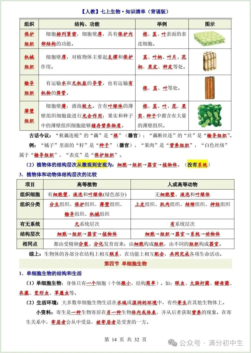 初一新教材七上生物期中必背知识考点梳理复习总结电子打印版!(2026 新)-第12张图片-四季读书网 初一新教材七上生物期中必背知识考点梳理复习总结电子打印版!(2026 新)-第12张图片-四季读书网