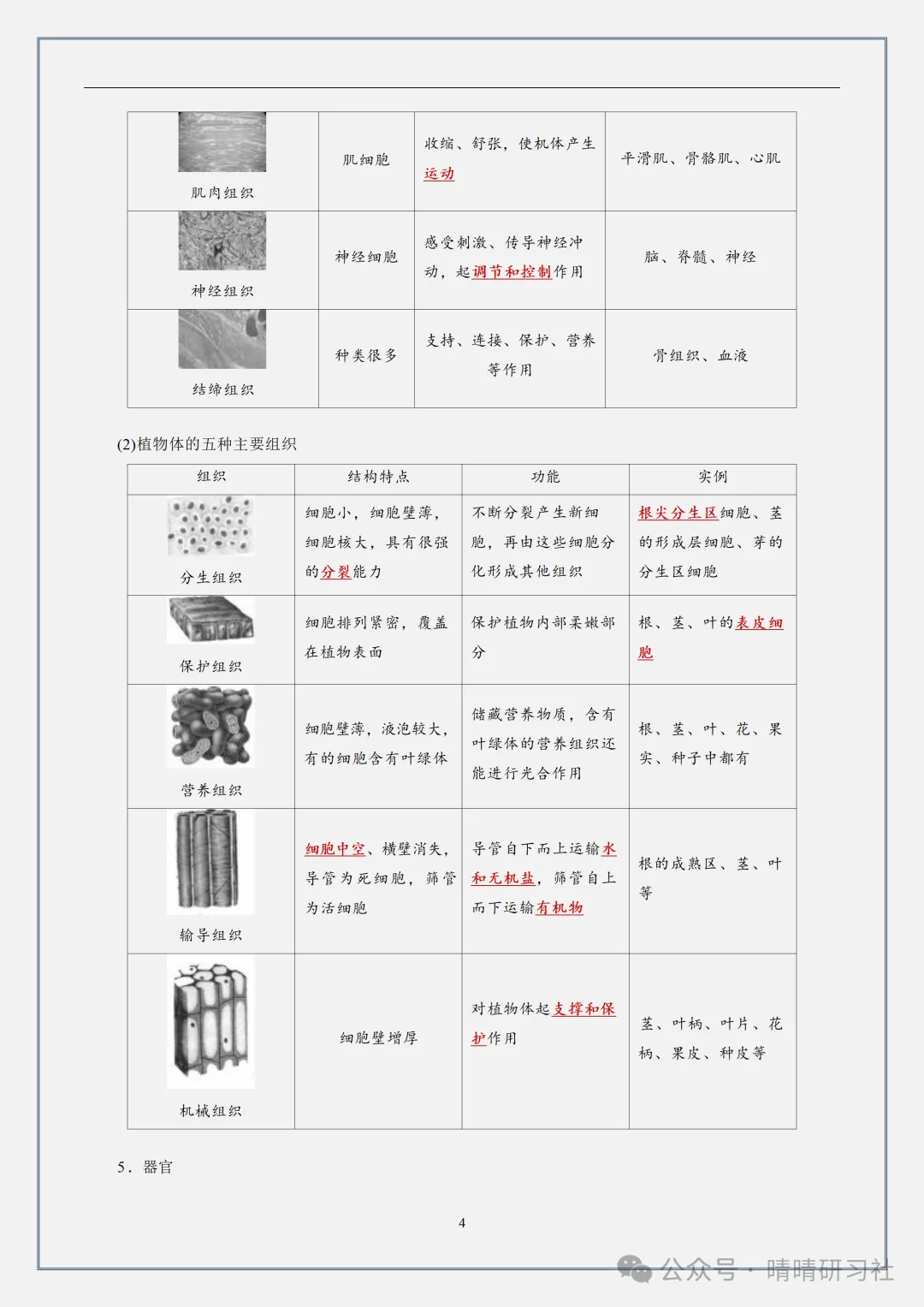 【初一】2026新版七年级上册全册知识点识图速记,完整版可打印-第6张图片-四季读书网 【初一】2026新版七年级上册全册知识点识图速记,完整版可打印-第6张图片-四季读书网