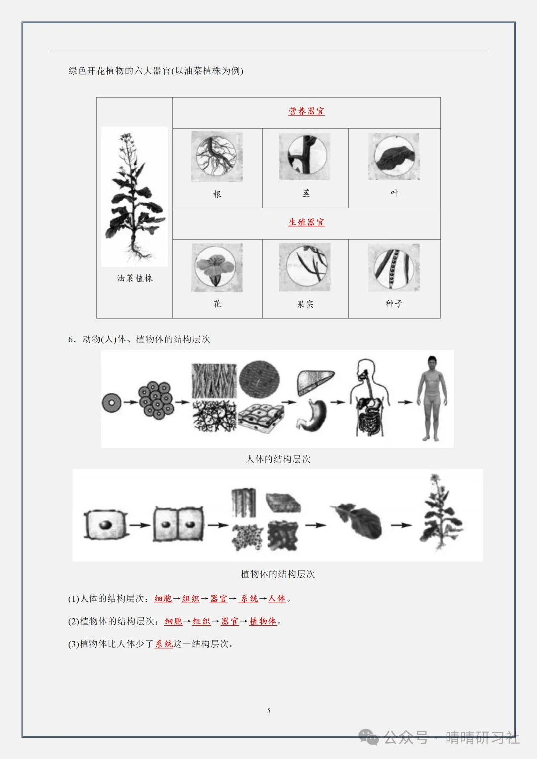 【初一】2026新版七年级上册全册知识点识图速记,完整版可打印-第7张图片-四季读书网 【初一】2026新版七年级上册全册知识点识图速记,完整版可打印-第7张图片-四季读书网