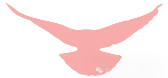 高考| 2027广西单招对口高考报名倒计时【流程/细节/地点】-第3张图片-四季读书网
