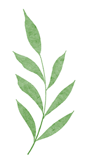 聚焦初三教学调研 赋能英语备考提质——区英语教研员吴莎莎老师莅校开展教学调研-第18张图片-四季读书网 聚焦初三教学调研 赋能英语备考提质——区英语教研员吴莎莎老师莅校开展教学调研-第18张图片-四季读书网