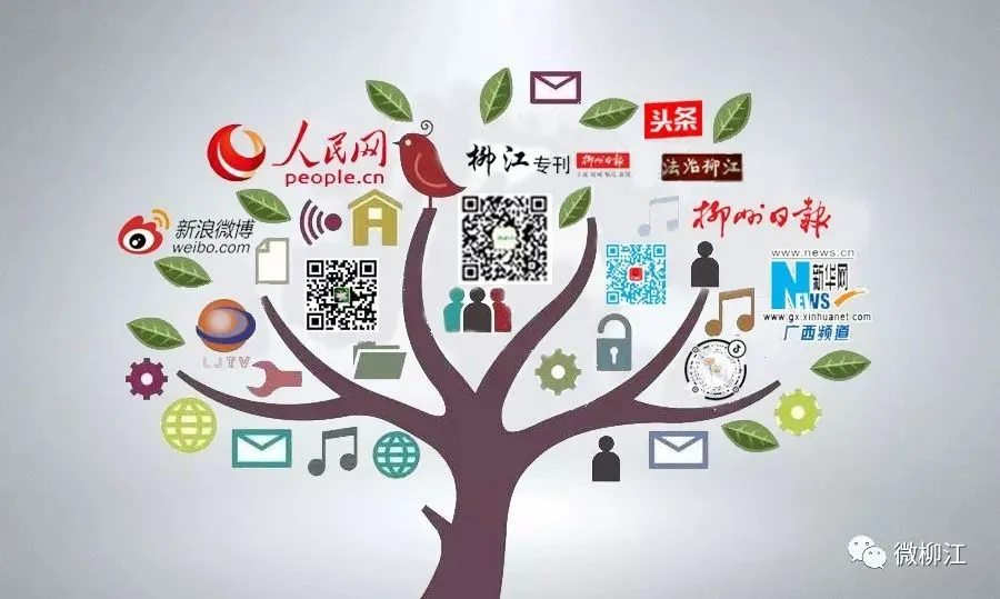 重大变化!广西普通高考加分调整,政策详细解读来了-第7张图片-四季读书网