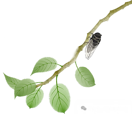 八年级上学期期中模拟试卷一-第27张图片-四季读书网