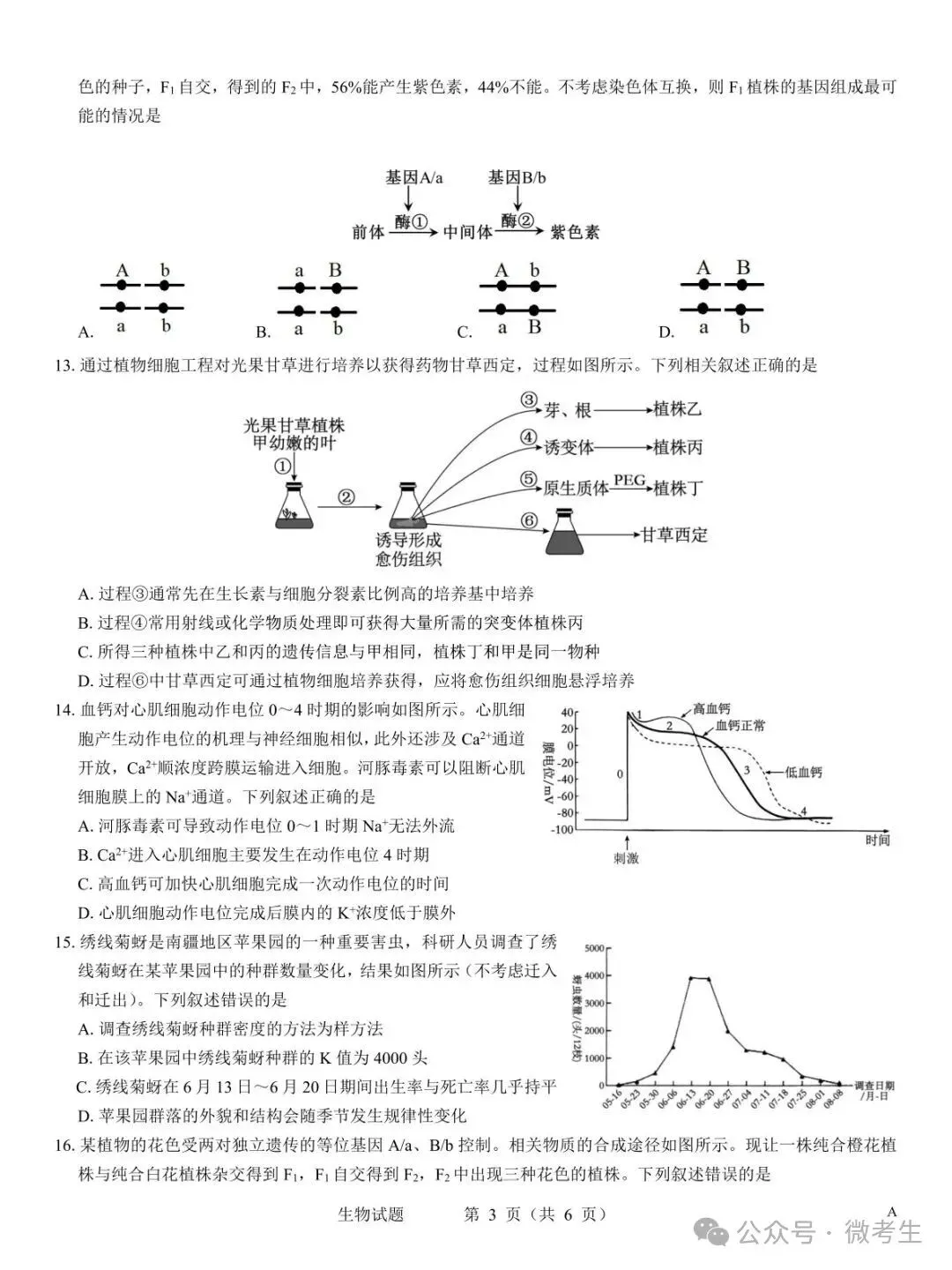 名校教研联盟2027届高考仿真模拟全科试卷-第37张图片-四季读书网 名校教研联盟2027届高考仿真模拟全科试卷-第37张图片-四季读书网