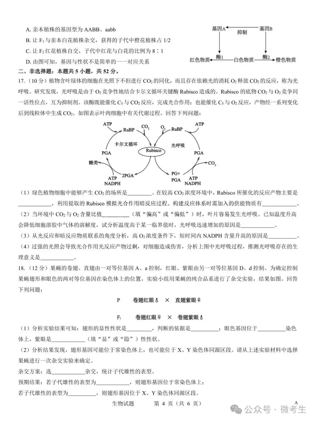 名校教研联盟2027届高考仿真模拟全科试卷-第38张图片-四季读书网 名校教研联盟2027届高考仿真模拟全科试卷-第38张图片-四季读书网