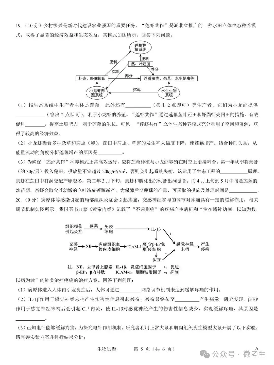 名校教研联盟2027届高考仿真模拟全科试卷-第39张图片-四季读书网 名校教研联盟2027届高考仿真模拟全科试卷-第39张图片-四季读书网