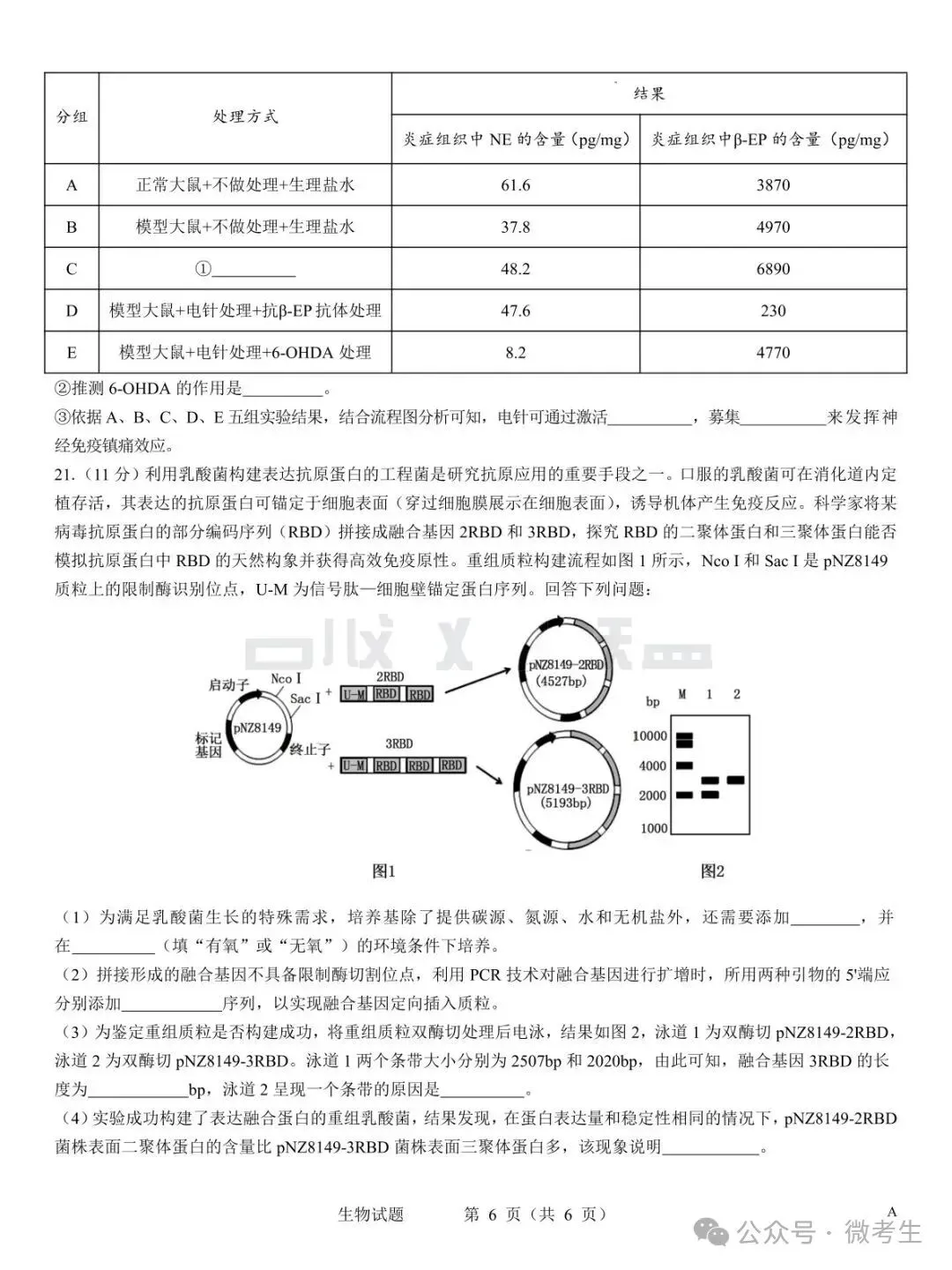 名校教研联盟2027届高考仿真模拟全科试卷-第40张图片-四季读书网 名校教研联盟2027届高考仿真模拟全科试卷-第40张图片-四季读书网