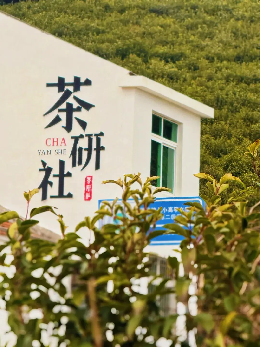 初三初四发班 “海上悬岛-蓬莱仙境”2晚『岱山CBD君澜大饭店』899元◆磨心山览全景+海岬公园+蓝白小镇◆享2早3正 纯玩三日-第48张图片-四季读书网 初三初四发班 “海上悬岛-蓬莱仙境”2晚『岱山CBD君澜大饭店』899元◆磨心山览全景+海岬公园+蓝白小镇◆享2早3正 纯玩三日-第48张图片-四季读书网