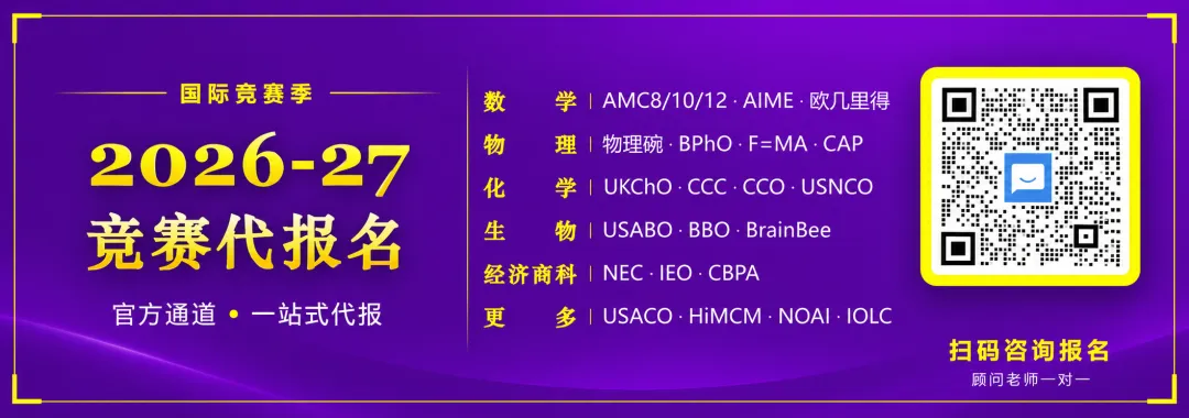 袋鼠数学历年真题:2027备考如何复盘2024试卷-第6张图片-四季读书网 袋鼠数学历年真题:2027备考如何复盘2024试卷-第6张图片-四季读书网
