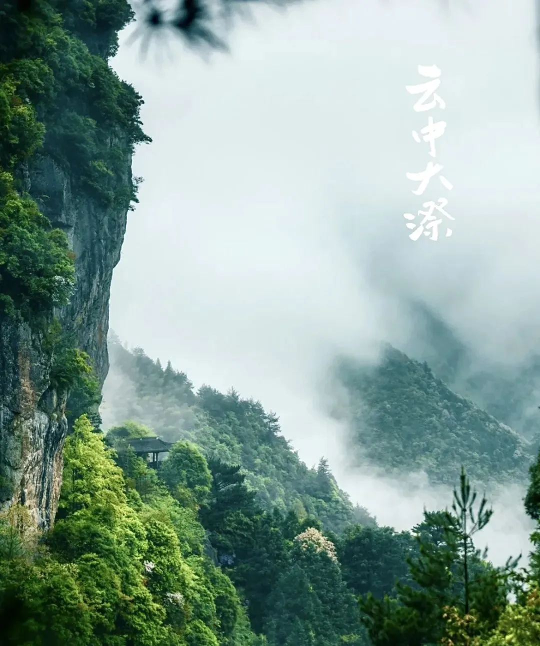 初二发班-仅需880元去『天然氧吧--畲乡景宁』欢欢喜喜过春节丨纯玩0购物5日游◆连住4晚大漈民宿◆康养胜地◆享4早7正-第11张图片-四季读书网 初二发班-仅需880元去『天然氧吧--畲乡景宁』欢欢喜喜过春节丨纯玩0购物5日游◆连住4晚大漈民宿◆康养胜地◆享4早7正-第11张图片-四季读书网