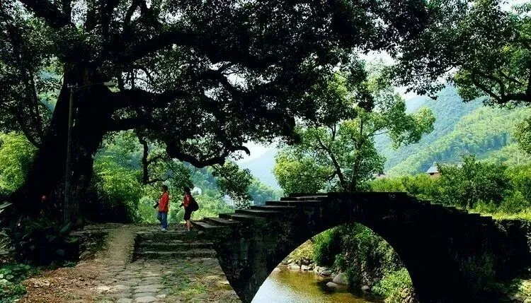 初二发班-仅需880元去『天然氧吧--畲乡景宁』欢欢喜喜过春节丨纯玩0购物5日游◆连住4晚大漈民宿◆康养胜地◆享4早7正-第13张图片-四季读书网 初二发班-仅需880元去『天然氧吧--畲乡景宁』欢欢喜喜过春节丨纯玩0购物5日游◆连住4晚大漈民宿◆康养胜地◆享4早7正-第13张图片-四季读书网