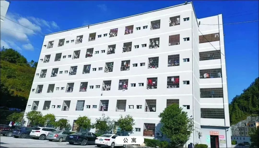 高考报名倒计时!沿河新世纪高级中学为您报考助攻,考生必藏!-第6张图片-四季读书网 高考报名倒计时!沿河新世纪高级中学为您报考助攻,考生必藏!-第6张图片-四季读书网