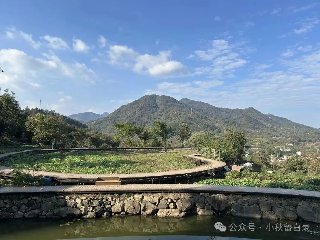 初三第一次月考,她哭了半天,然后我们去罗田摘了柿子-第2张图片-四季读书网