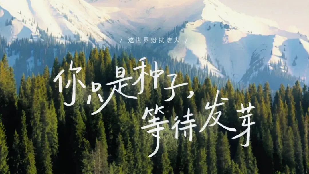 高考作文10篇完整格式,覆盖常考主题,结构工整立意深刻,直接套用!-第3张图片-四季读书网 高考作文10篇完整格式,覆盖常考主题,结构工整立意深刻,直接套用!-第3张图片-四季读书网