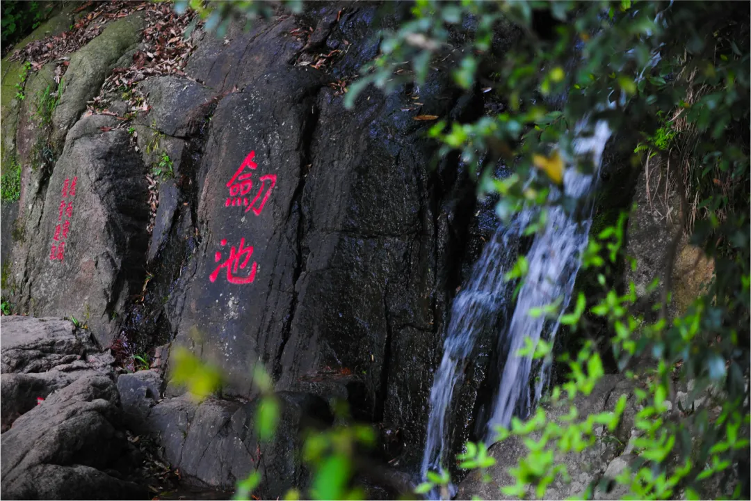 初三发班:杭州三日游●尊享5钻『余杭Hilton·希尔顿酒店』游烟雨西湖胜景&逛莫干竹海仙境◆含2早2正◆免费棋牌◆纯玩无购物-第69张图片-四季读书网 初三发班:杭州三日游●尊享5钻『余杭Hilton·希尔顿酒店』游烟雨西湖胜景&逛莫干竹海仙境◆含2早2正◆免费棋牌◆纯玩无购物-第69张图片-四季读书网
