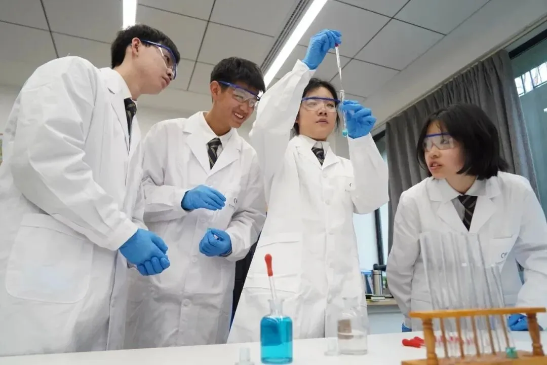 从中考普高线跃进港前三!杭州这所高中学子亲证:中考仅是起点-第18张图片-四季读书网