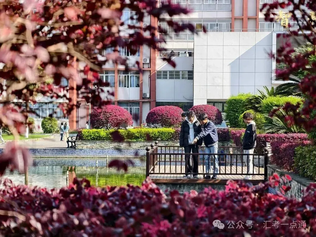 重庆市农业学校|中考线下生首选:主城公办中专,三年免学费-第9张图片-四季读书网