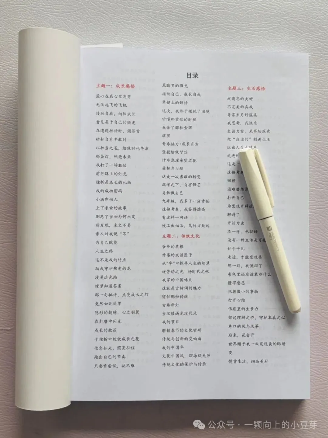 《2027中考作文满分范文300篇》收录300篇考场高分范文,全部是真题+模考题范文,12个话题分类,常考话题全覆盖-第3张图片-四季读书网 《2027中考作文满分范文300篇》收录300篇考场高分范文,全部是真题+模考题范文,12个话题分类,常考话题全覆盖-第3张图片-四季读书网