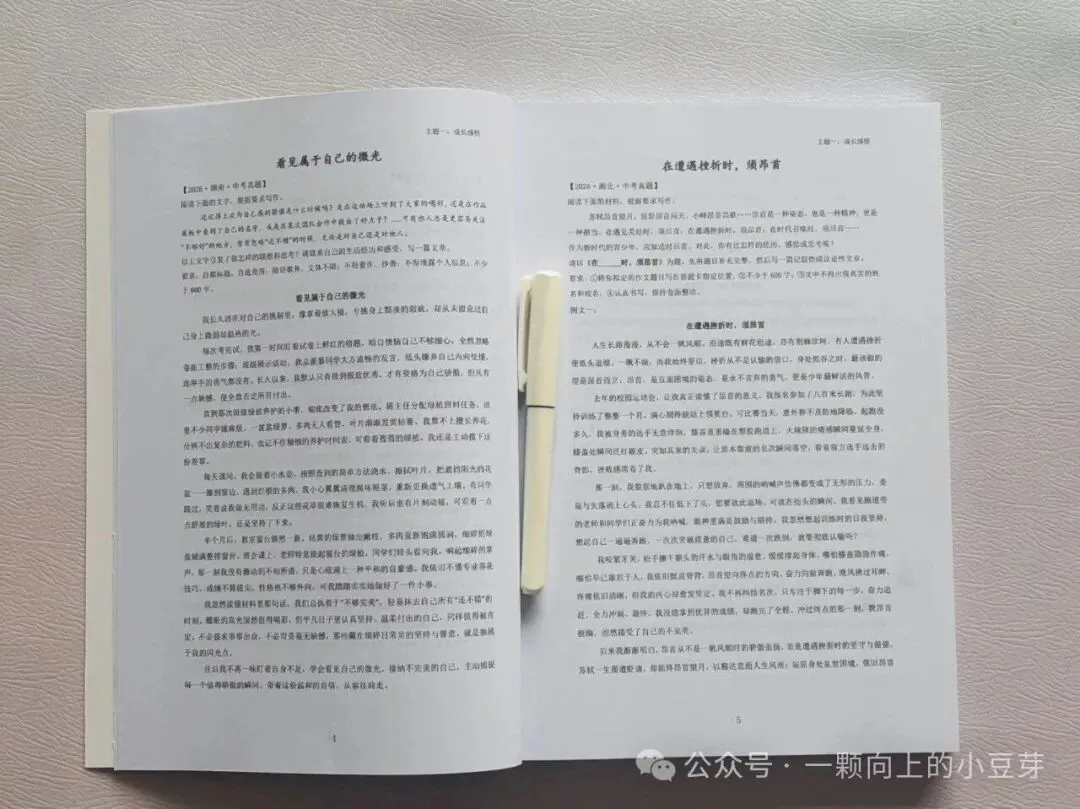 《2027中考作文满分范文300篇》收录300篇考场高分范文,全部是真题+模考题范文,12个话题分类,常考话题全覆盖-第7张图片-四季读书网 《2027中考作文满分范文300篇》收录300篇考场高分范文,全部是真题+模考题范文,12个话题分类,常考话题全覆盖-第7张图片-四季读书网