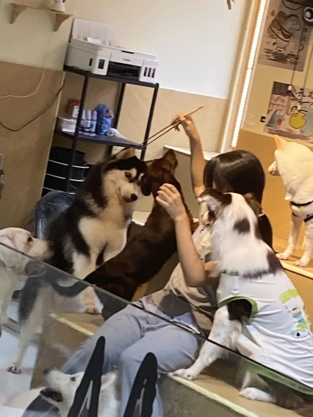 初二女孩的生活智慧,胜过我这个成年人-第1张图片-四季读书网 初二女孩的生活智慧,胜过我这个成年人-第1张图片-四季读书网