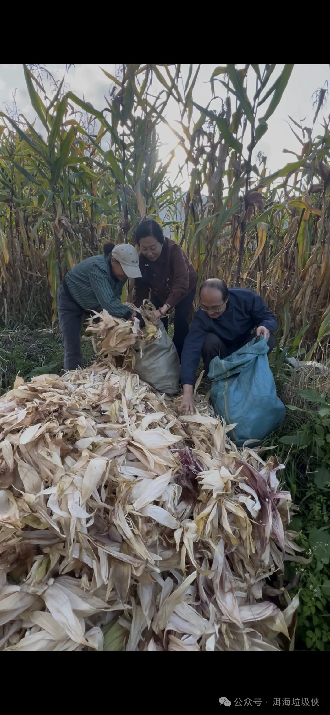 初一十五素食行善日|烈日捡垃圾、柴火素火锅、满载温暖的一天-第10张图片-四季读书网 初一十五素食行善日|烈日捡垃圾、柴火素火锅、满载温暖的一天-第10张图片-四季读书网