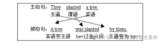被动语态详解及练习(中考)-第3张图片-四季读书网 被动语态详解及练习(中考)-第3张图片-四季读书网