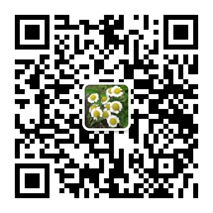 【休学中考】初三休学半年的儿子,如何走出黑暗迎来光明?-第7张图片-四季读书网 【休学中考】初三休学半年的儿子,如何走出黑暗迎来光明?-第7张图片-四季读书网