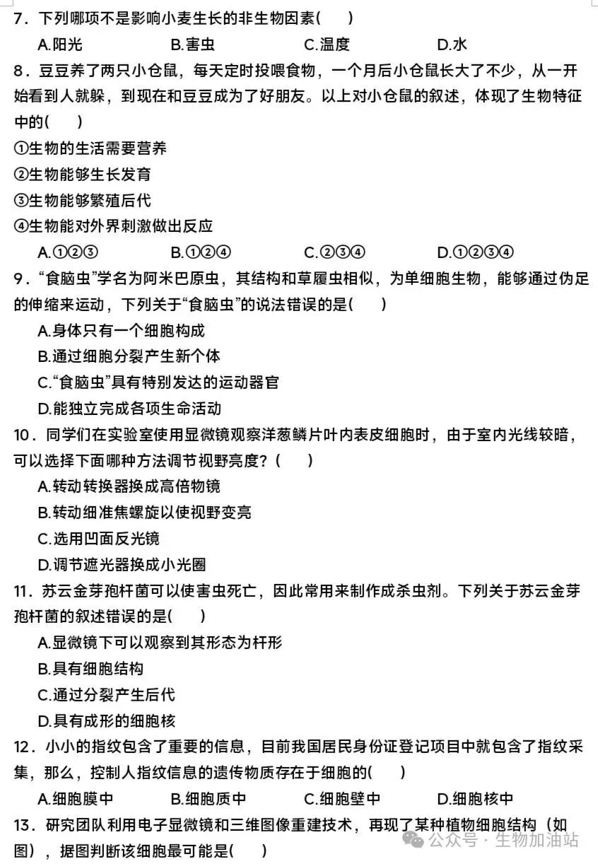 期中试卷:人教版七上生物期中测试卷及答案详解-第3张图片-四季读书网
