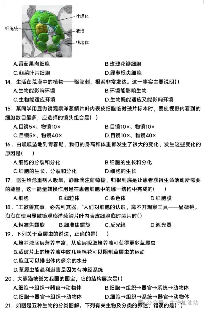 期中试卷:人教版七上生物期中测试卷及答案详解-第4张图片-四季读书网