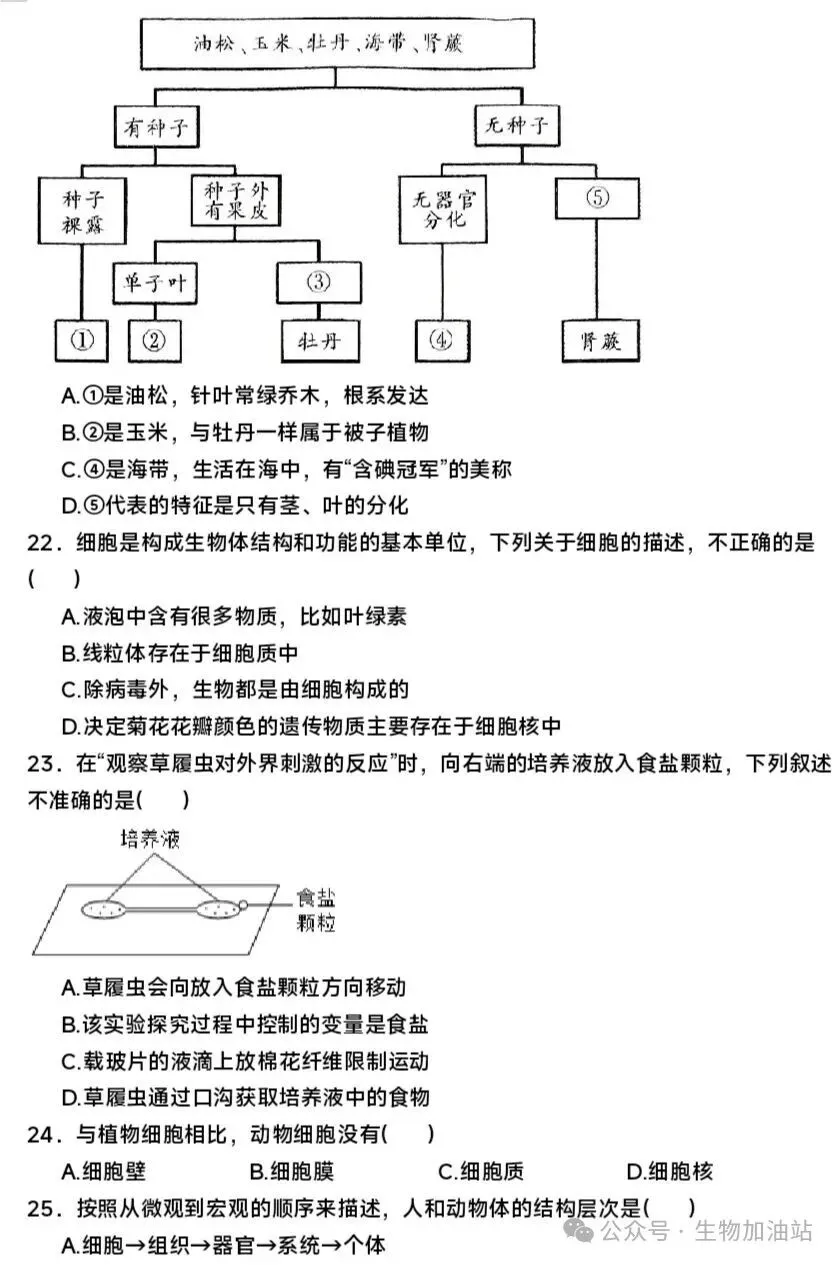 期中试卷:人教版七上生物期中测试卷及答案详解-第5张图片-四季读书网