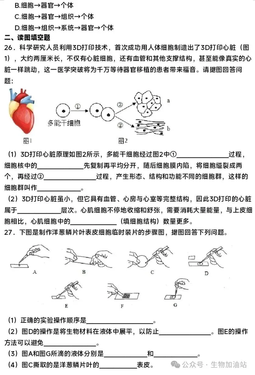 期中试卷:人教版七上生物期中测试卷及答案详解-第6张图片-四季读书网