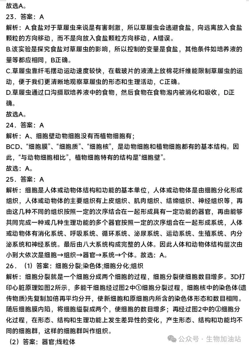 期中试卷:人教版七上生物期中测试卷及答案详解-第12张图片-四季读书网
