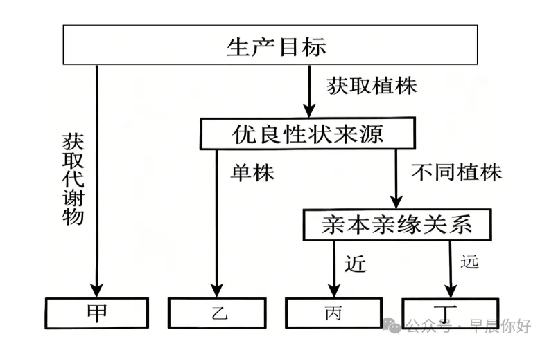 高考生物 | 选择性必修三:把想法变成产品 看懂2027生物命题-第4张图片-四季读书网 高考生物 | 选择性必修三:把想法变成产品 看懂2027生物命题-第4张图片-四季读书网