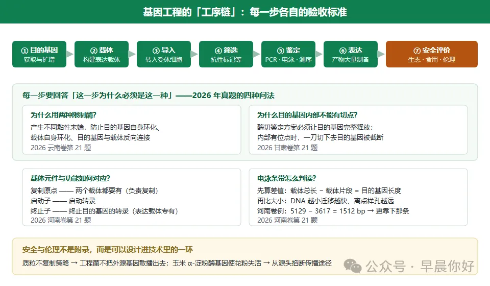 高考生物 | 选择性必修三:把想法变成产品 看懂2027生物命题-第5张图片-四季读书网 高考生物 | 选择性必修三:把想法变成产品 看懂2027生物命题-第5张图片-四季读书网