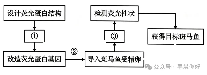 高考生物 | 选择性必修三:把想法变成产品 看懂2027生物命题-第10张图片-四季读书网 高考生物 | 选择性必修三:把想法变成产品 看懂2027生物命题-第10张图片-四季读书网