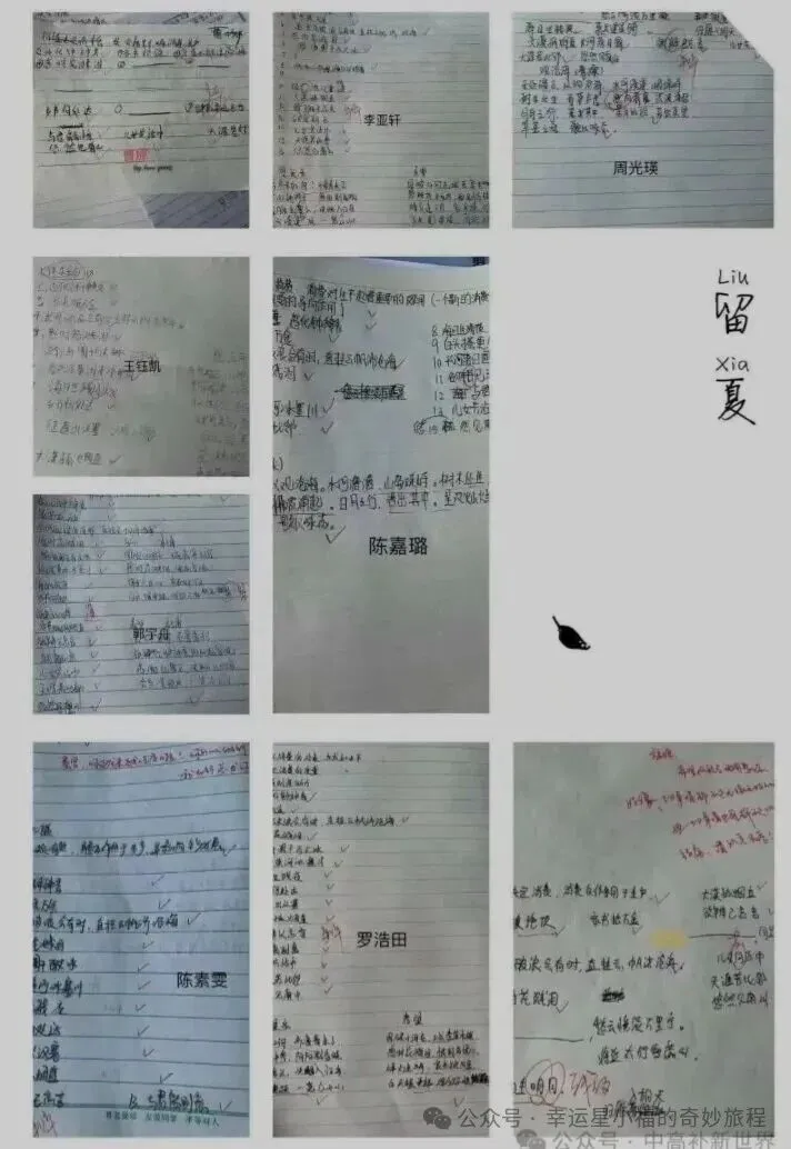 宏楼高考中心,2027届艺考文化课招生简章|精准适配,直击提分核心-第21张图片-四季读书网