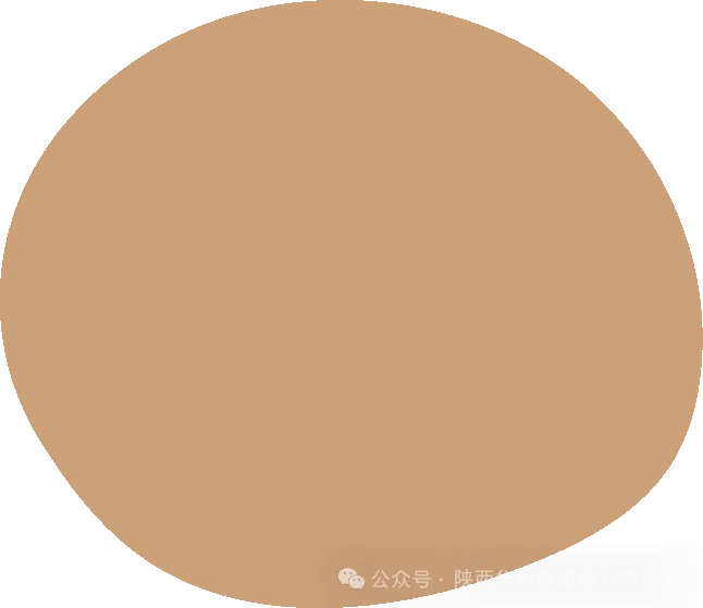 @陕西考生:2027年陕西普通高考(职教高考)报名来了!时间节点、材料准备一次看懂-第6张图片-四季读书网 @陕西考生:2027年陕西普通高考(职教高考)报名来了!时间节点、材料准备一次看懂-第6张图片-四季读书网