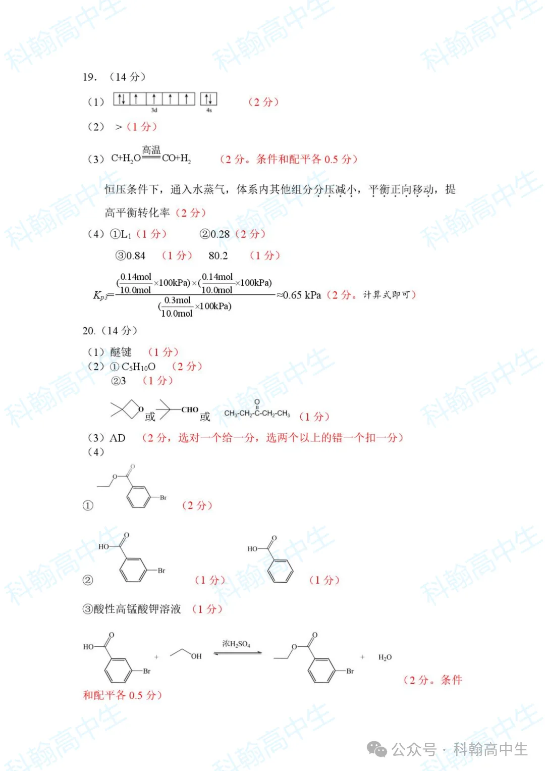 9科齐全!2027届罗湖区高三9月第一次模拟考试卷+答案!-第68张图片-四季读书网 9科齐全!2027届罗湖区高三9月第一次模拟考试卷+答案!-第68张图片-四季读书网
