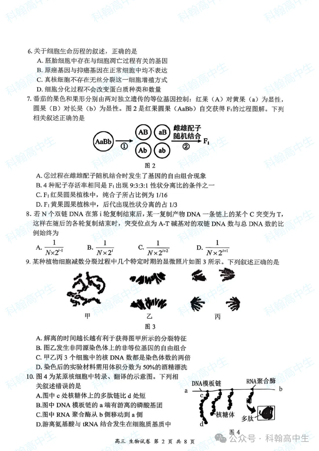 9科齐全!2027届罗湖区高三9月第一次模拟考试卷+答案!-第80张图片-四季读书网 9科齐全!2027届罗湖区高三9月第一次模拟考试卷+答案!-第80张图片-四季读书网